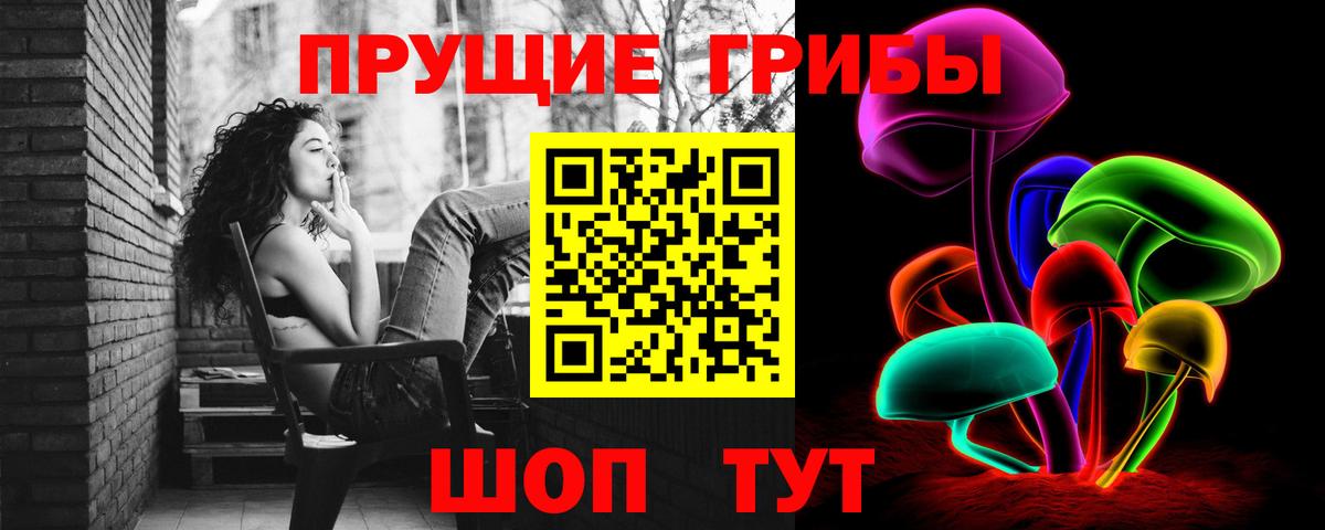 Татарск  Галлюциногенные грибы Psilocybine cubensis  Псилоцибиновые грибы GOLDEN TEACHER  Вход с VPN 